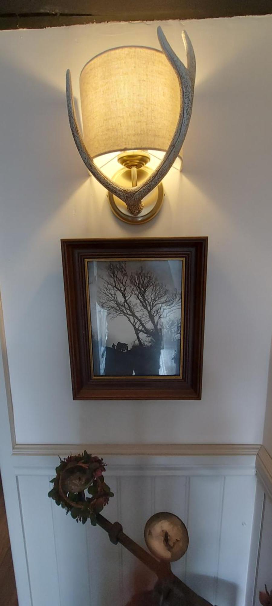 Glyn Isa Country House B&B And Self Catering Apartments コンウィ エクステリア 写真